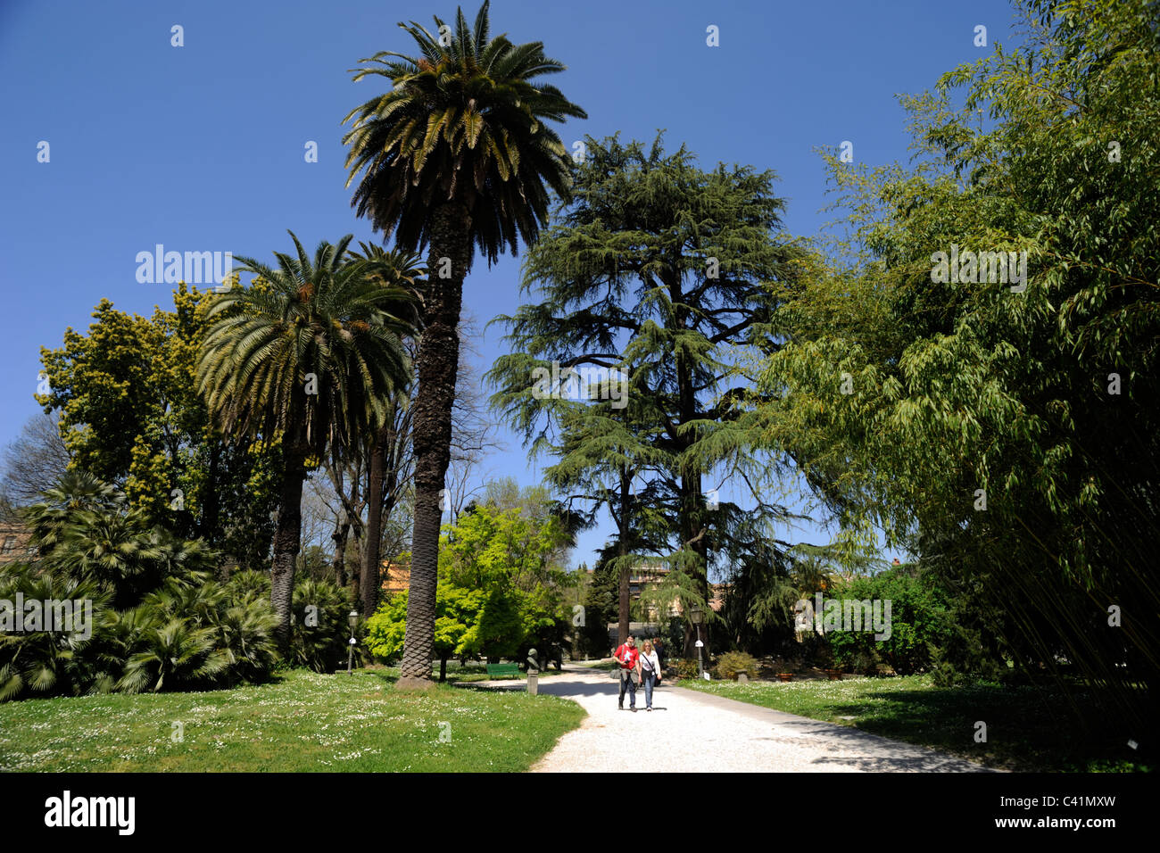 Italie, Rome, Trastevere, Orto Botanico, jardins botaniques Banque D'Images