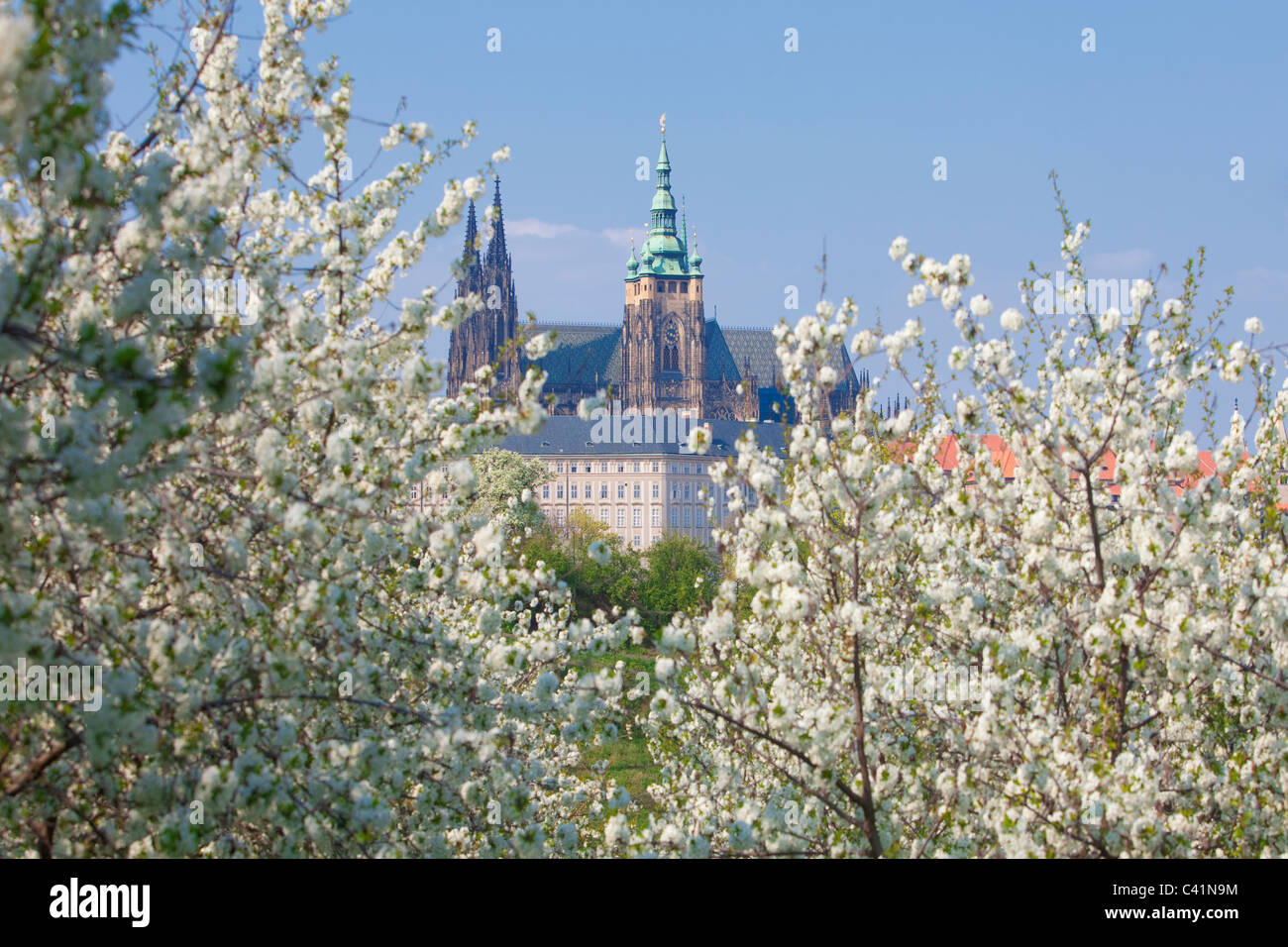 Prague - Vue du château de Hradcany et st. Cathédrale Saint-Guy au printemps Banque D'Images