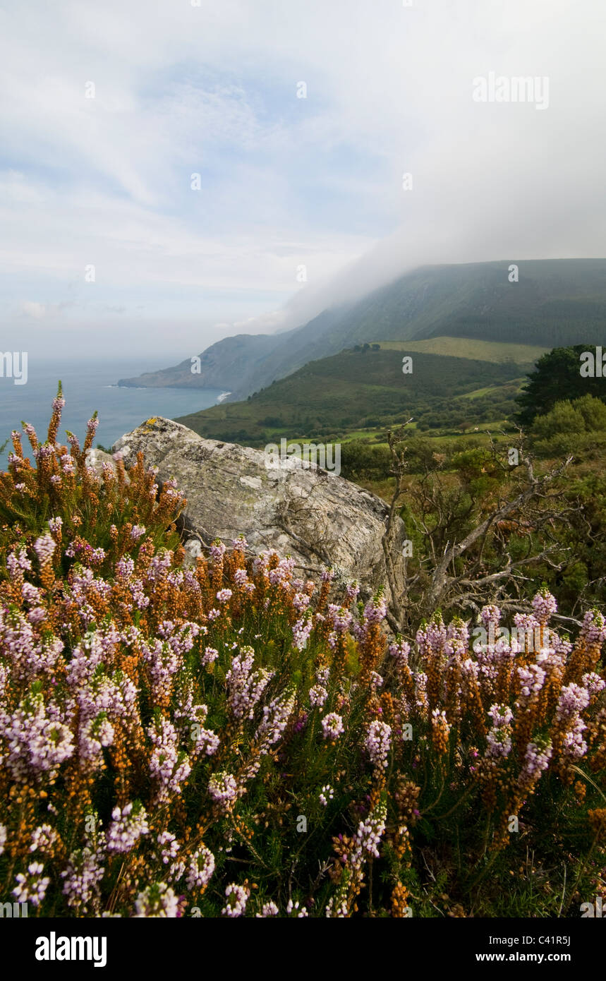 Serra da Capelada, côte nord-ouest de la Galice, Espagne Banque D'Images