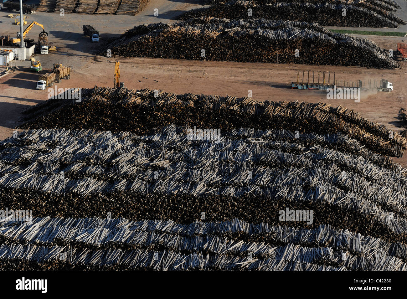 L'URUGUAY Fray Bentos , l'usine de pâte d'UPM production des pâtes pour la fabrication de papier à partir de bois d'eucalyptus FSC Banque D'Images