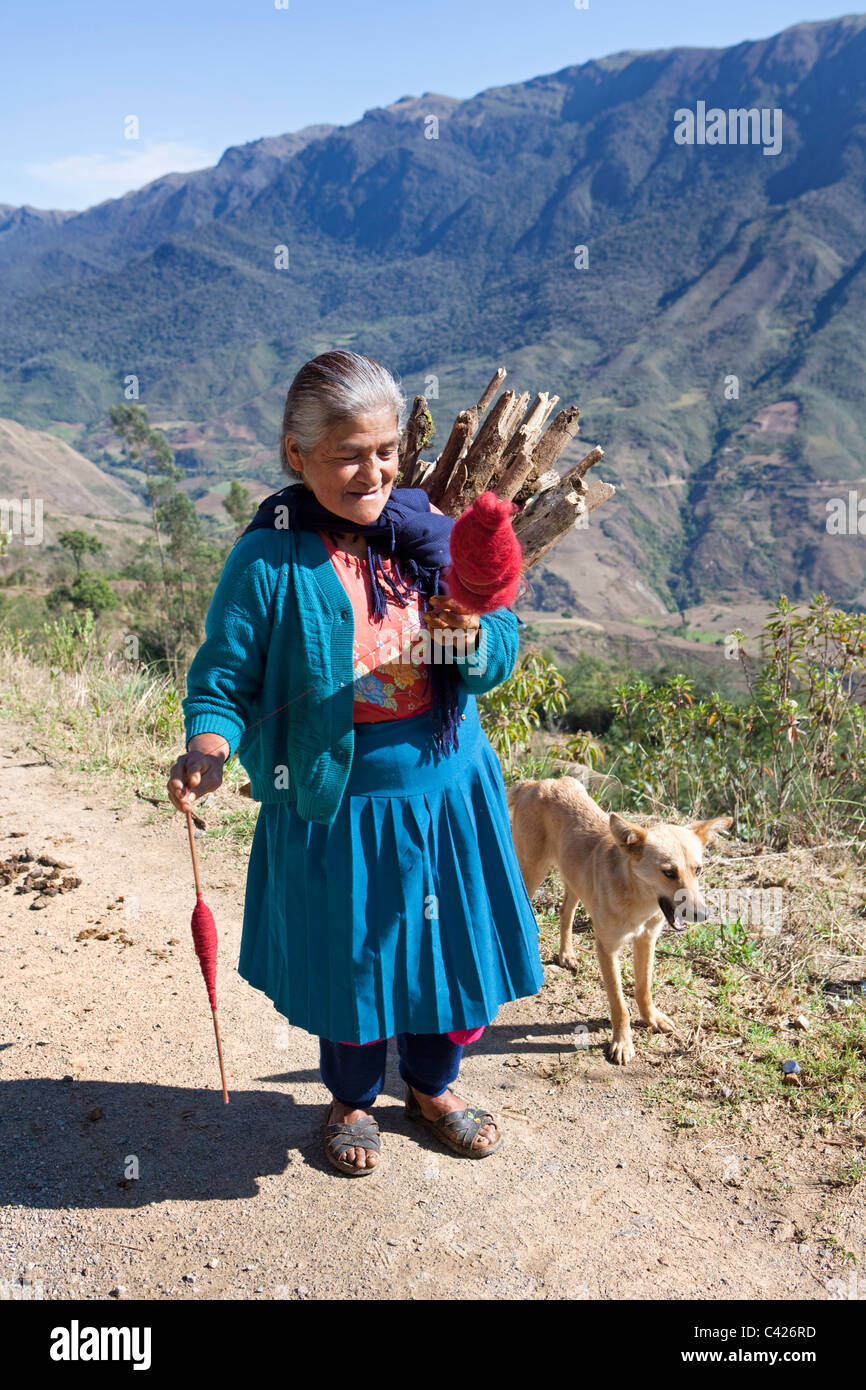 Pérou, Chachapoyas, vieille femme indienne spinning thread, lors de la marche. Banque D'Images