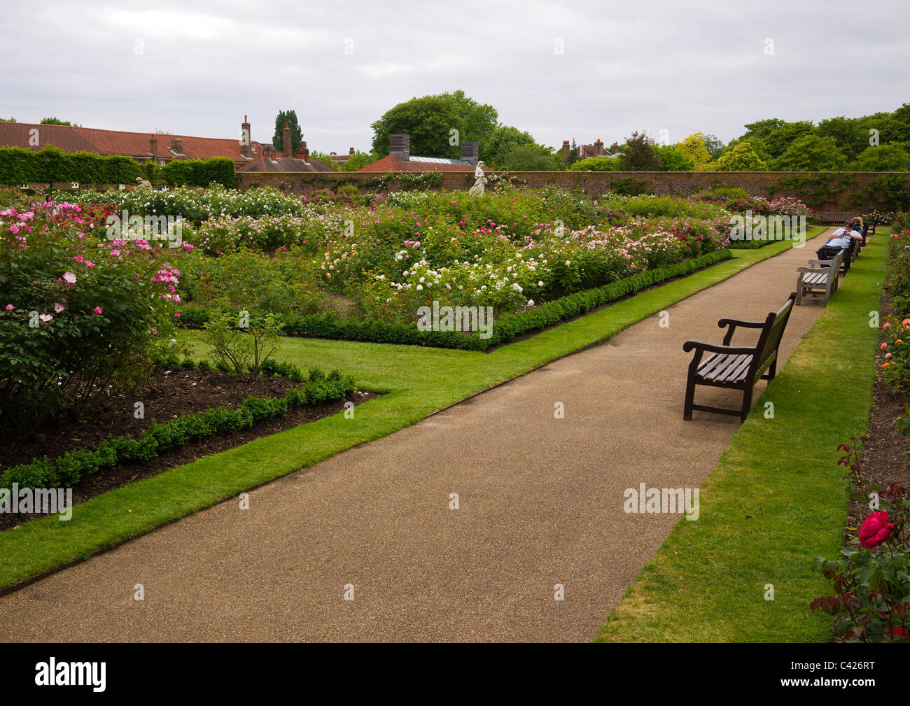 Jardin de roses à Hampton Court, à Londres. Banque D'Images