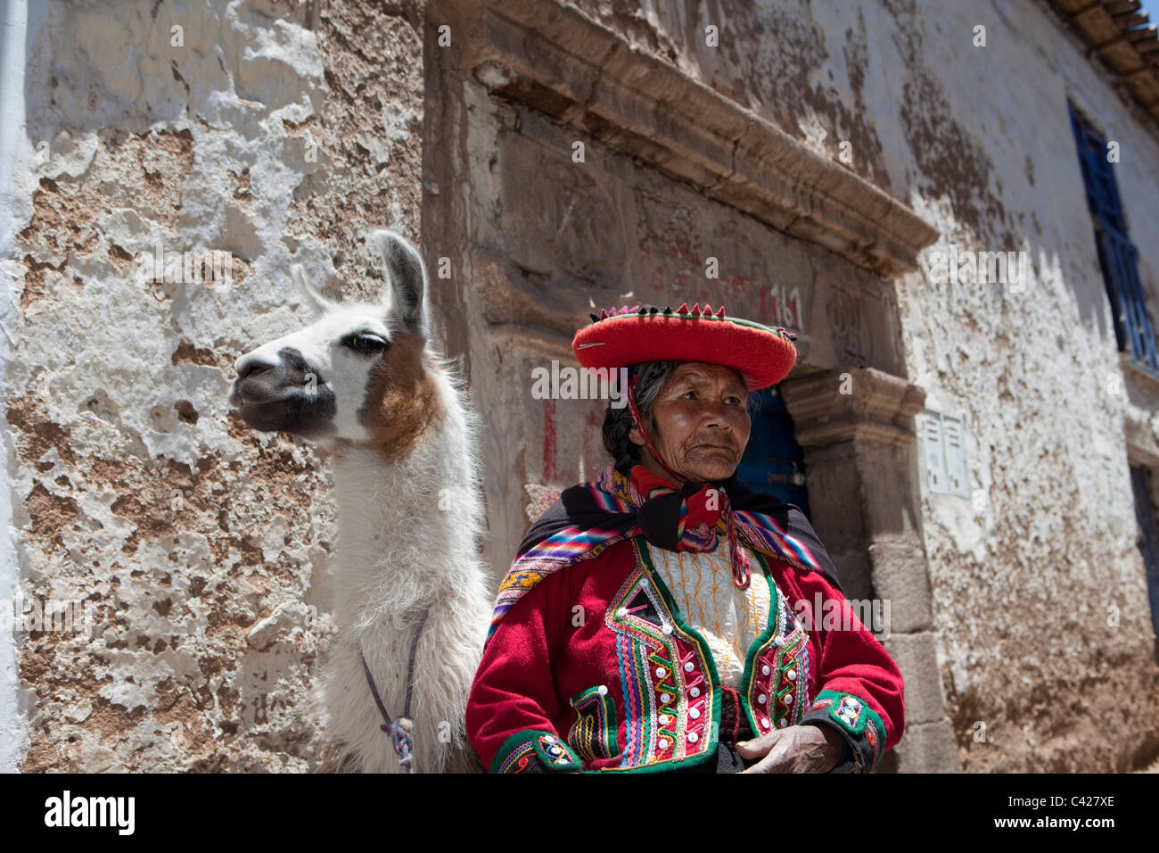 Pérou, Cusco, Cuzco, vieille femme indienne avec llama dans le district de San Blas. UNESCO World Heritage Site. Banque D'Images