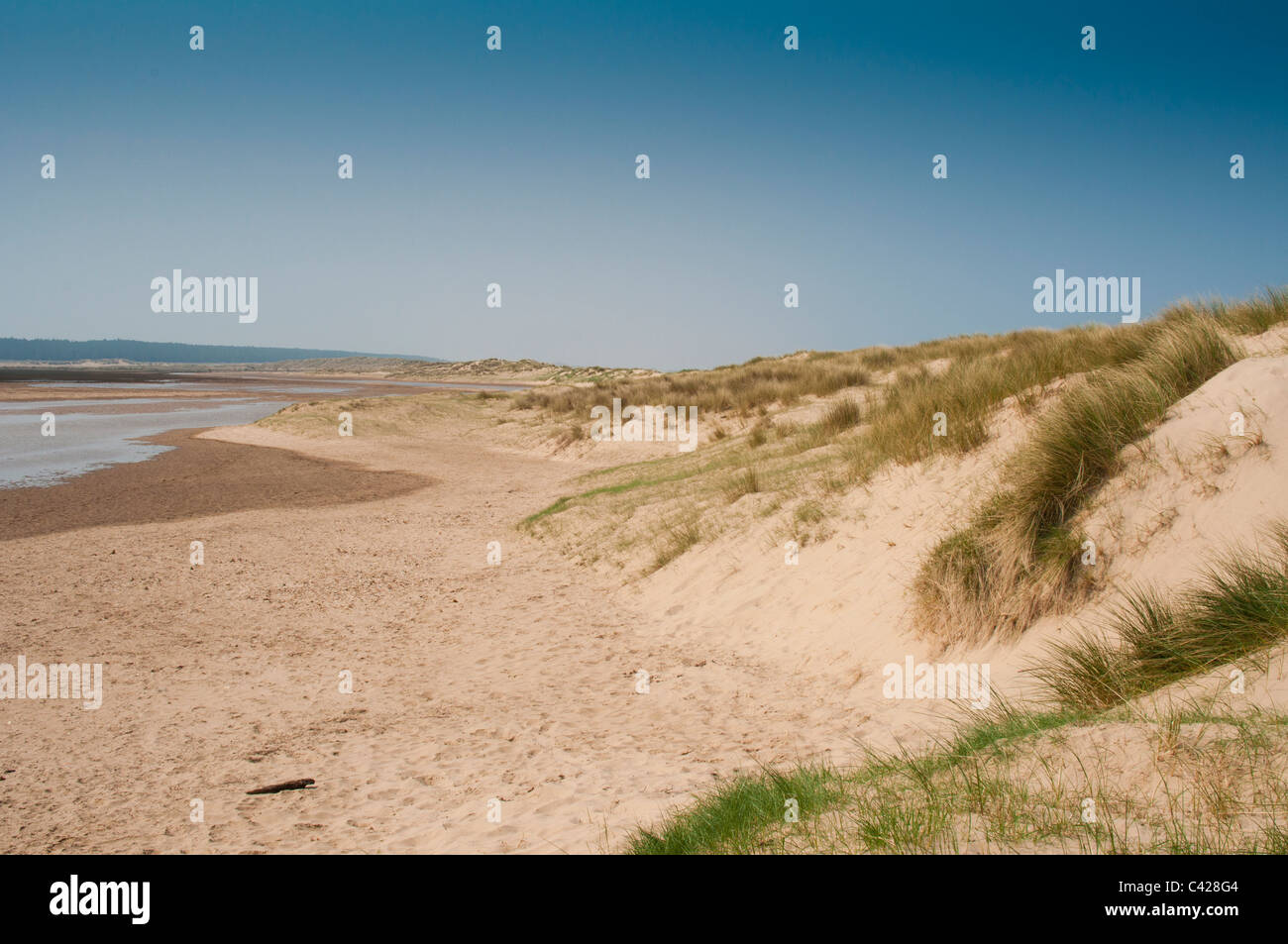 Dunes de sable, des puits à côté de la mer, Norfolk, Royaume-Uni. Banque D'Images