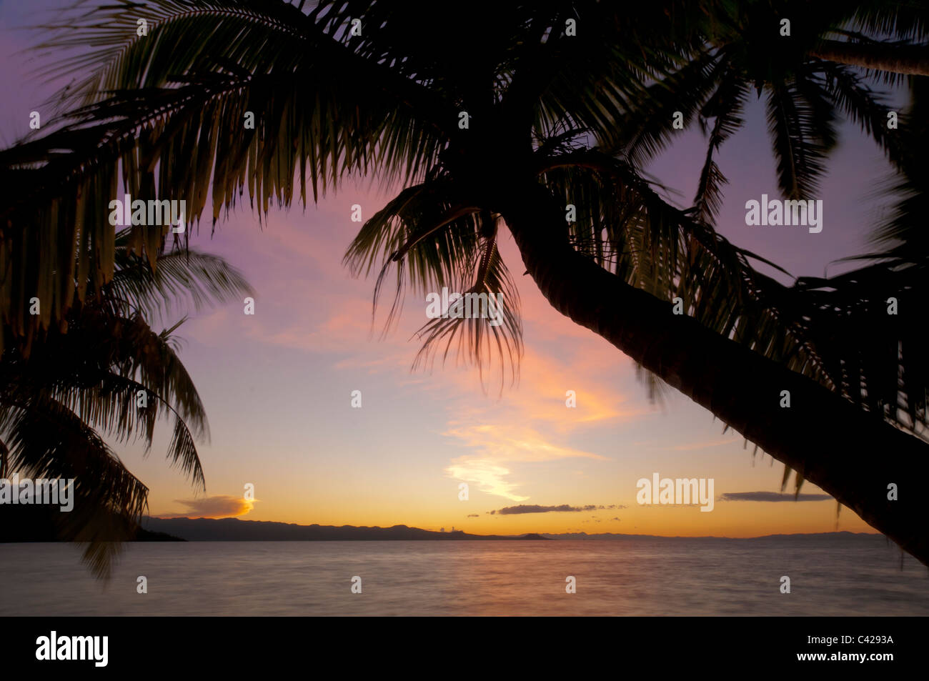 Des cocotiers et l'océan au coucher du soleil ; Matangi Private Island Resort, Fiji Banque D'Images