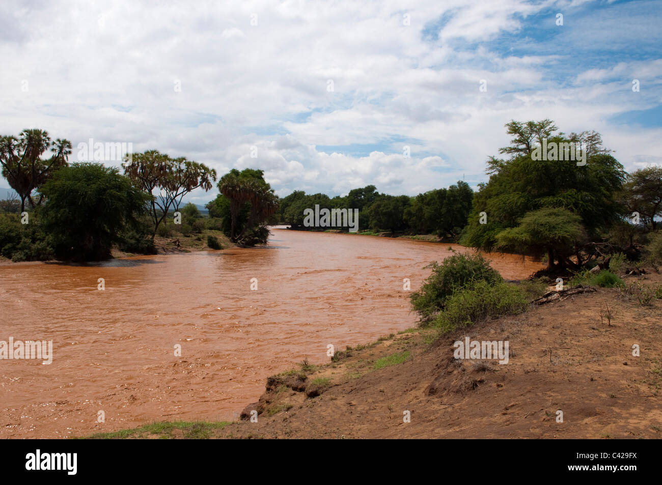 Le Parc National de Samburu, Kenya. Banque D'Images