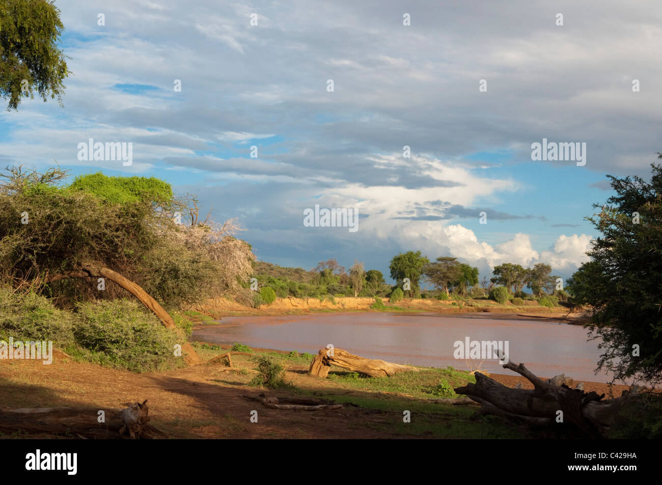 Le Parc National de Samburu, Kenya. Banque D'Images