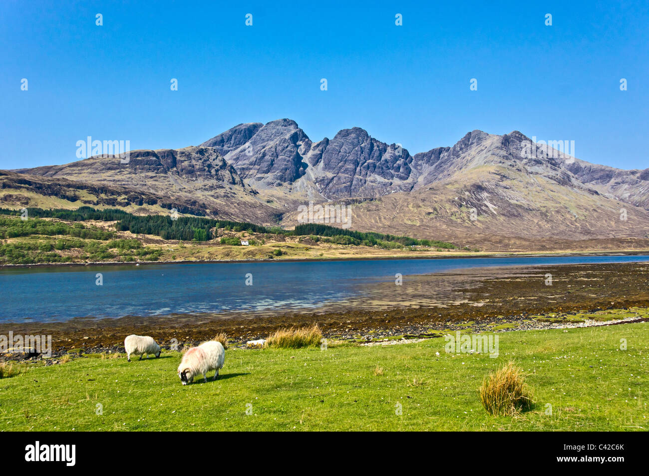 La montagne (Blabheinn écossais Selkirk Arms) vue du Loch Slapin près de l'île de Skye Torrin Ecosse Banque D'Images