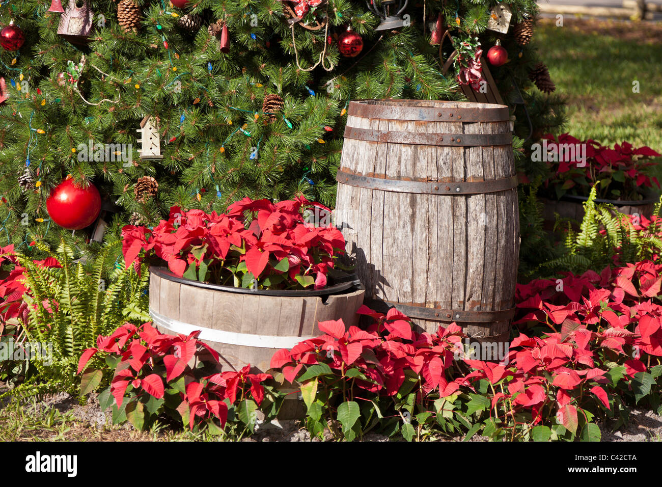 Arbre de Noël et décorations à Fort Wilderness Resort de Walt Disney World, à Kissimmee, Floride, USA Banque D'Images