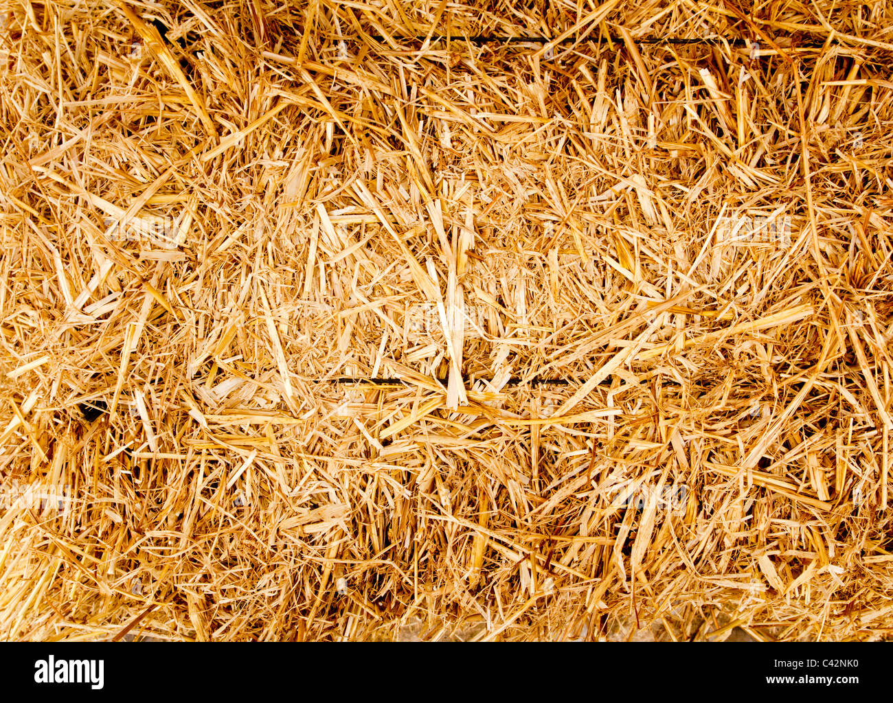 Balle de paille d'or alimentaire des animaux ruminants texture background Banque D'Images