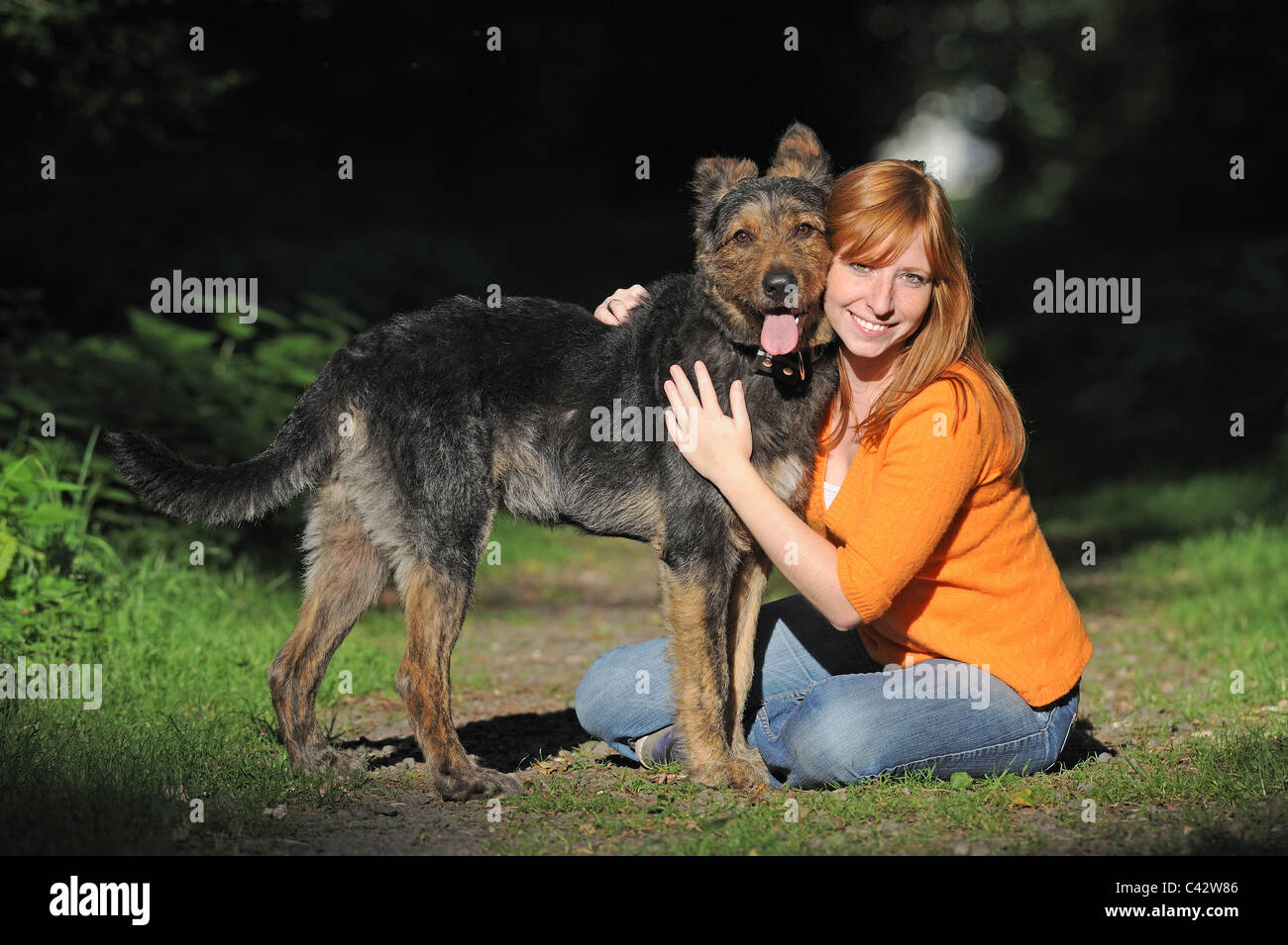 Mongrel (Canis lupus familiaris). Jeune femme assise sur un chemin en bois tout en embrassant son chien Banque D'Images