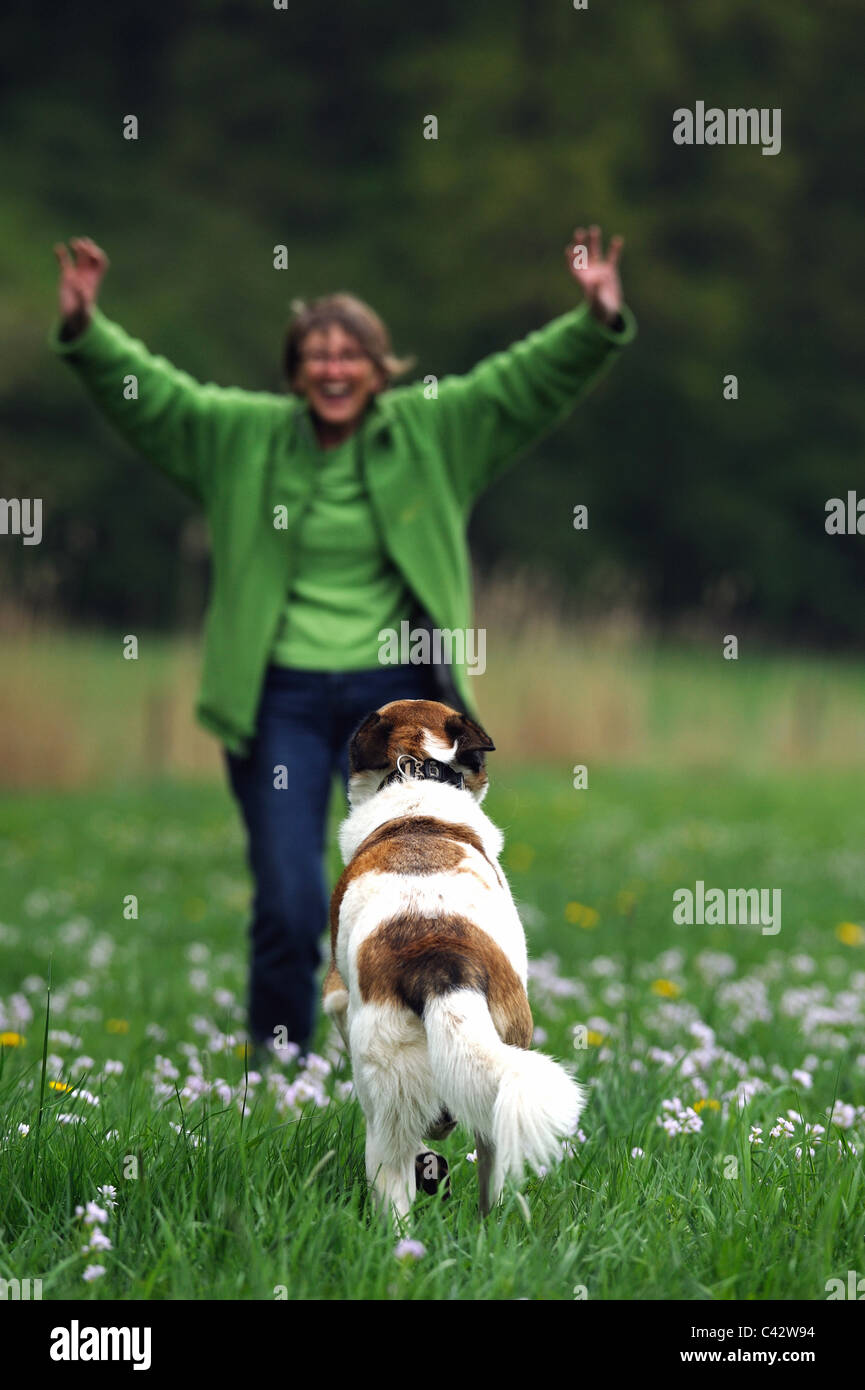 Mongrel (Canis lupus familiaris). Woman montrant le plaisir que son chien est de venir à elle. L'Allemagne. Banque D'Images