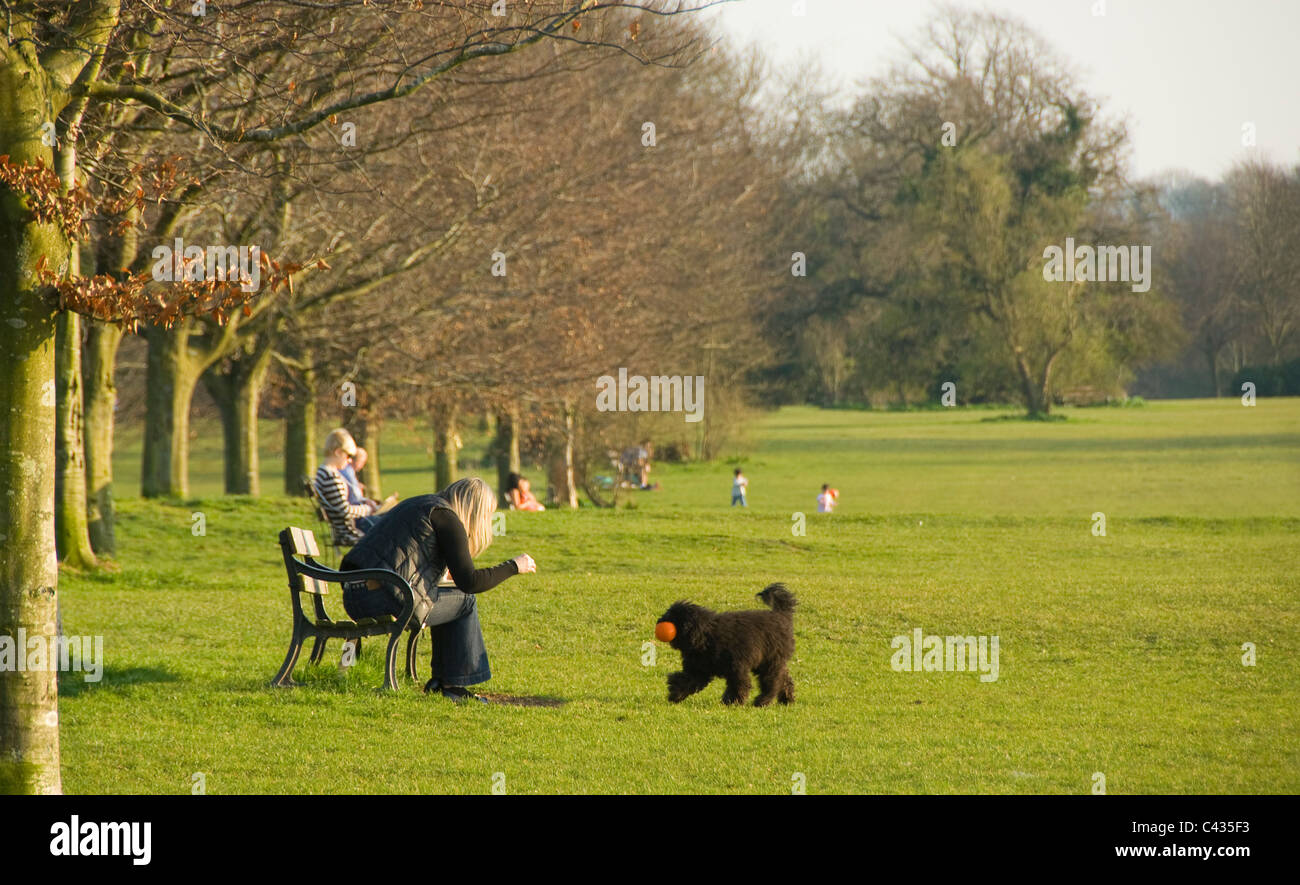 Des gens assis sur des bancs de parc, les Downs, Bristol, England, UK Banque D'Images