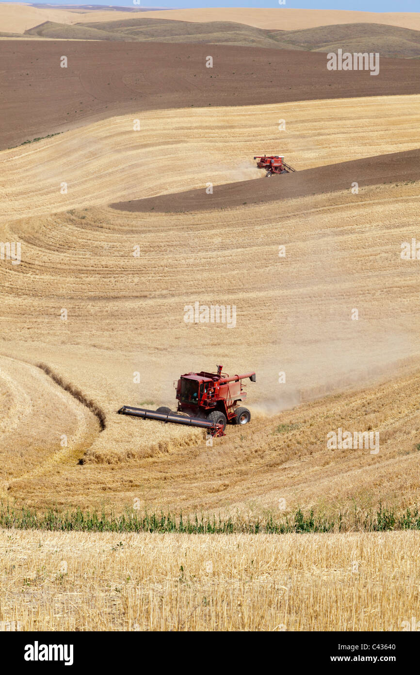 Des modèles dans le champ de blé de la récolte avec une moissonneuse-batteuse de cas Washington USA Palouse Banque D'Images
