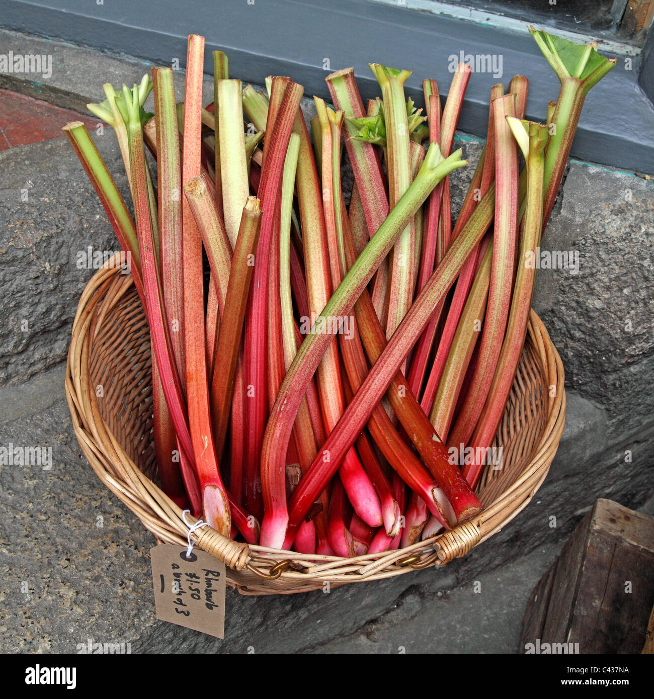 Les tiges de rhubarbe bunch Banque D'Images