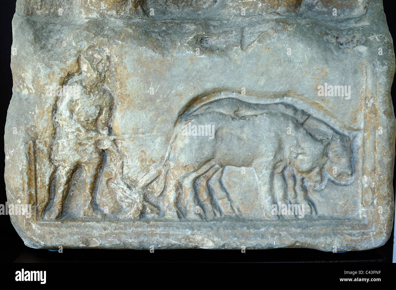 Les labours ou le labourage à l'aide de boeufs ou de bétail, marbre sculpté Relief de monument funéraire romain ou le tombeau de Nimes, France Banque D'Images