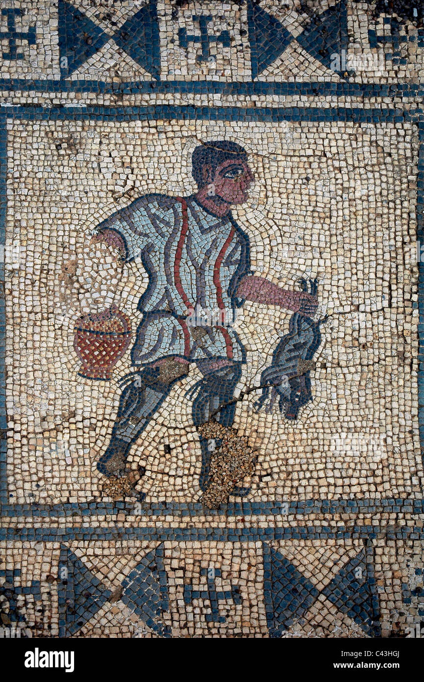 Mosaïque de plancher antique représentant un homme tenant un cochon dans les ruines de la colonie romaine de Conimbriga situé à Condeixa-a-Nova également connu sous le nom de Condeixa, une ville et une municipalité dans le district de Coimbra, Portugal Banque D'Images