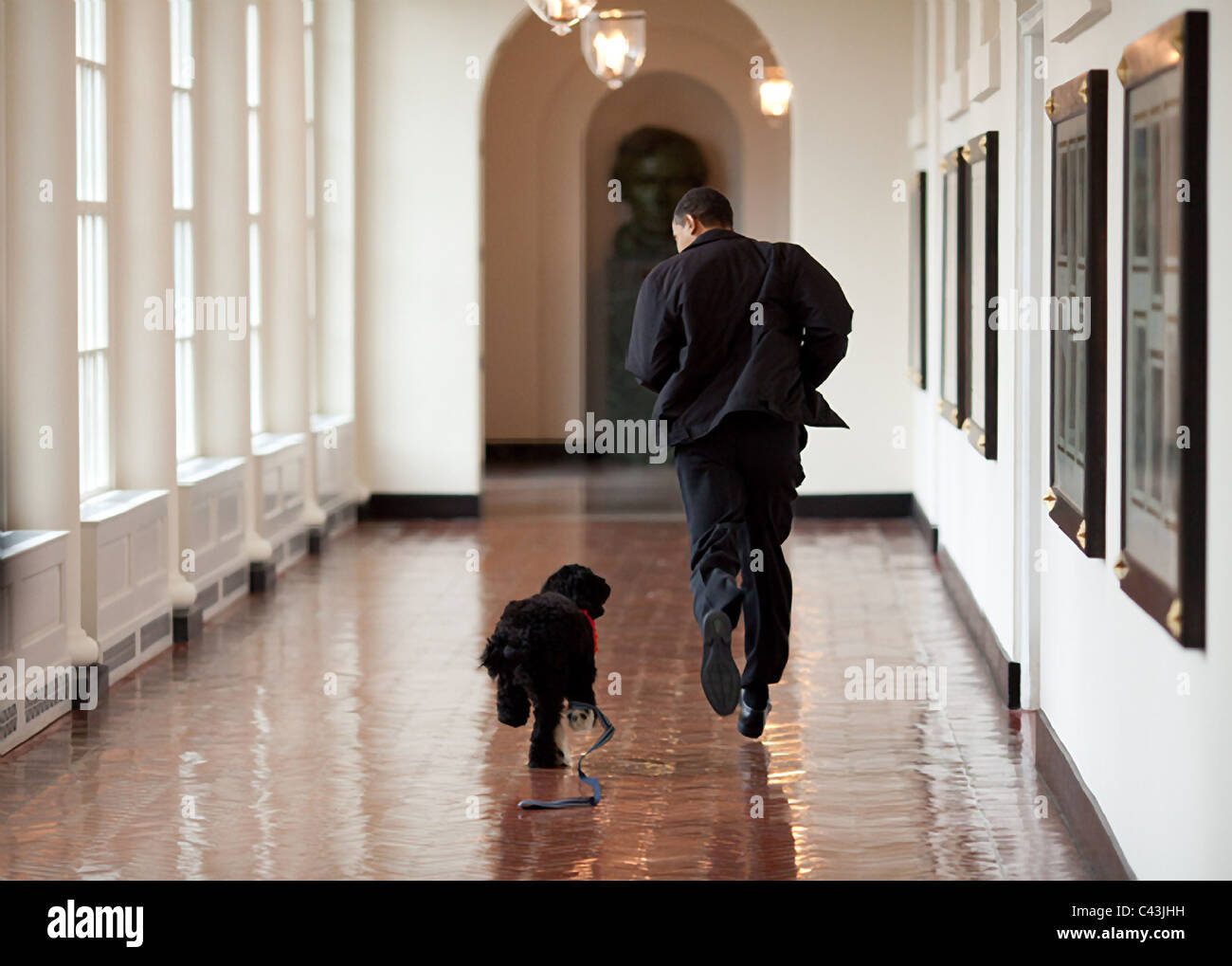 Le président américain Barack Obama avec le chien Bo à la Maison Blanche Banque D'Images