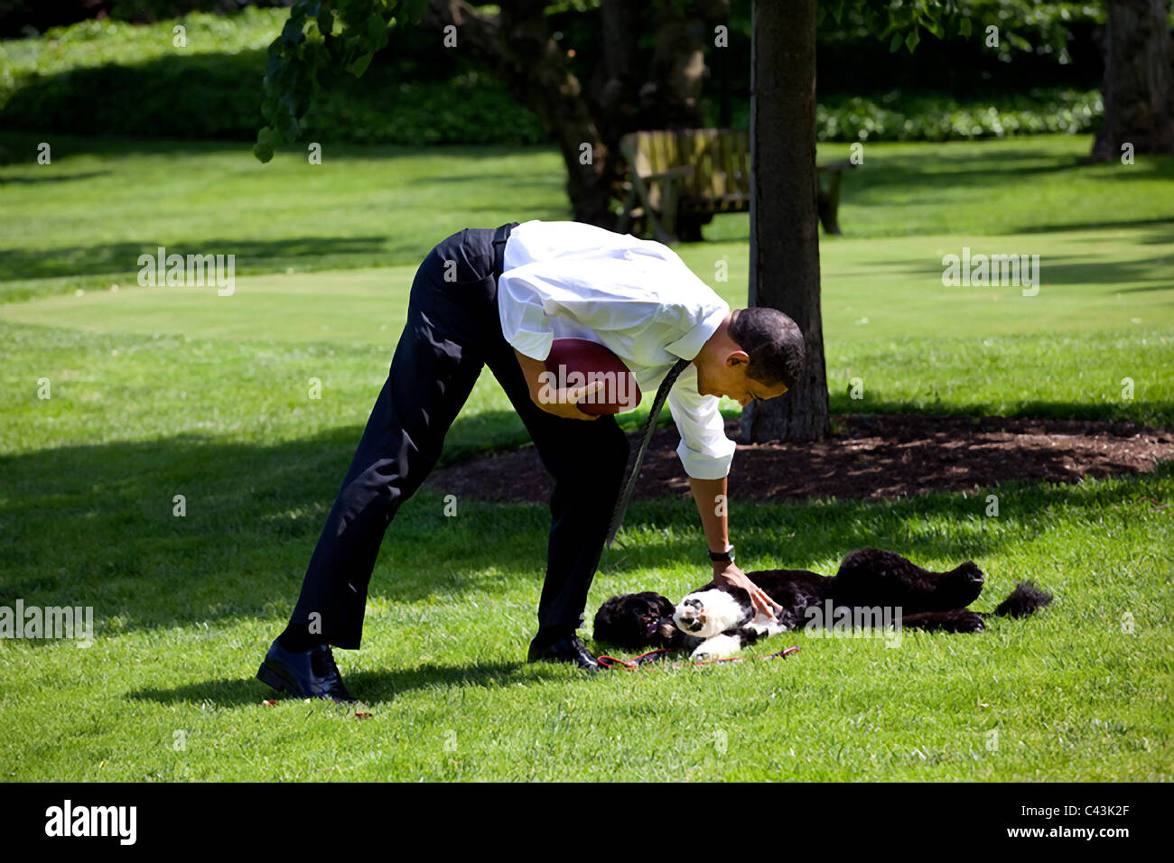 Le président Barack Obama, avec le chien de la famille Bo, jouer au football sur la pelouse Sud de la Maison Blanche Banque D'Images