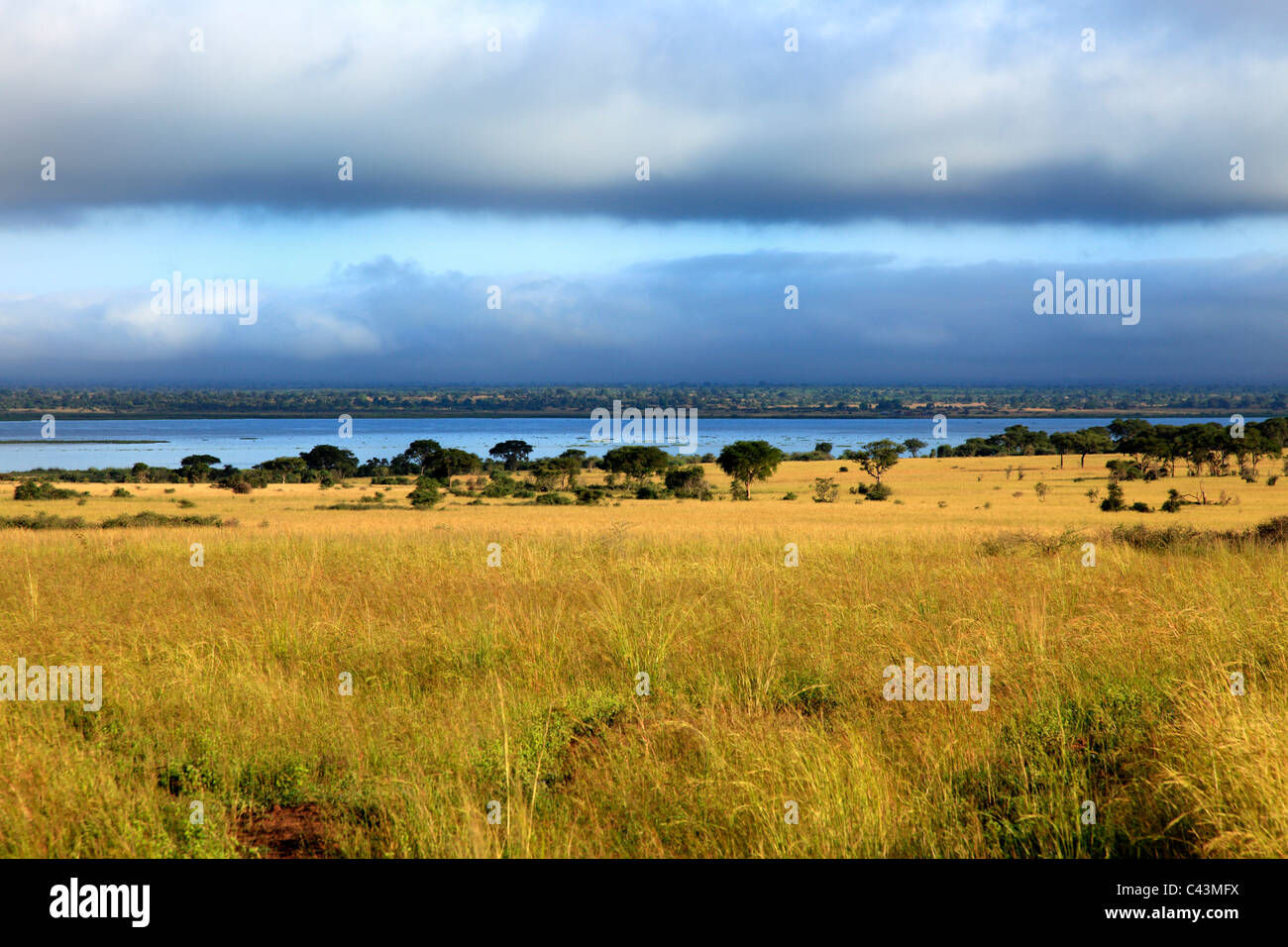 L'Afrique, Afrique, voyages, Nature, Animal, animaux, faune, Afrique subsaharienne, Afrique de l'Est, panoramique, paysage, Voyage, Voyage, aventure, t Banque D'Images