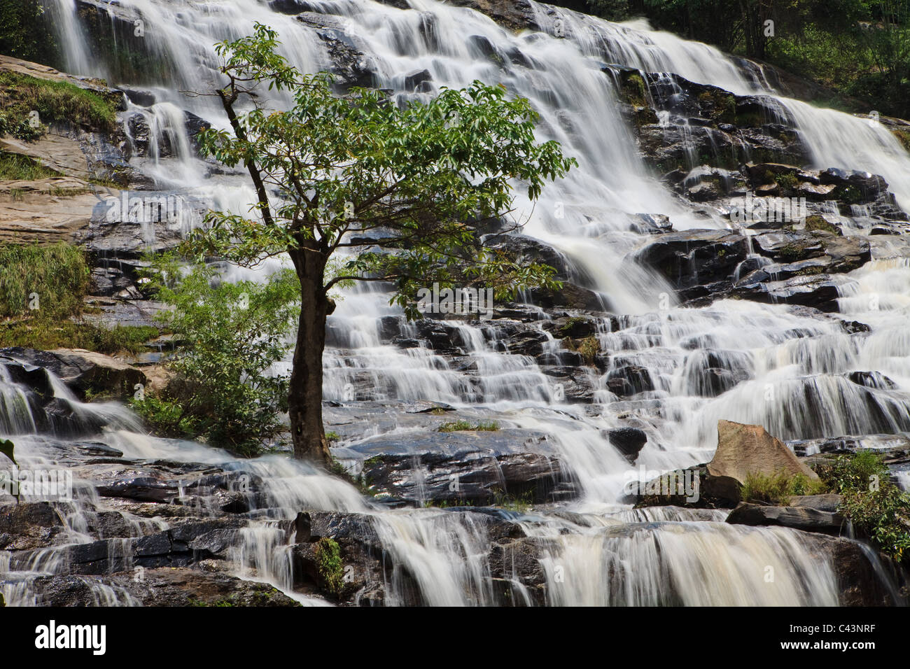 Cette photographie est de la Mae Ya Cascade, qui est situé dans le Nord de la Thaïlande Banque D'Images