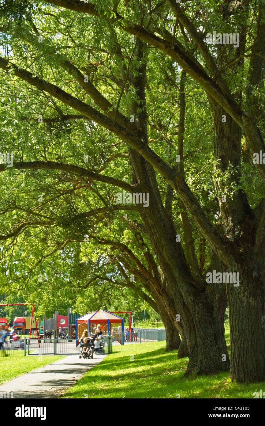 Des rangées d'arbres menant à une aire de jeux pour enfants sur le seigle, High Wycombe, Buckinghamshire, Royaume-Uni Banque D'Images