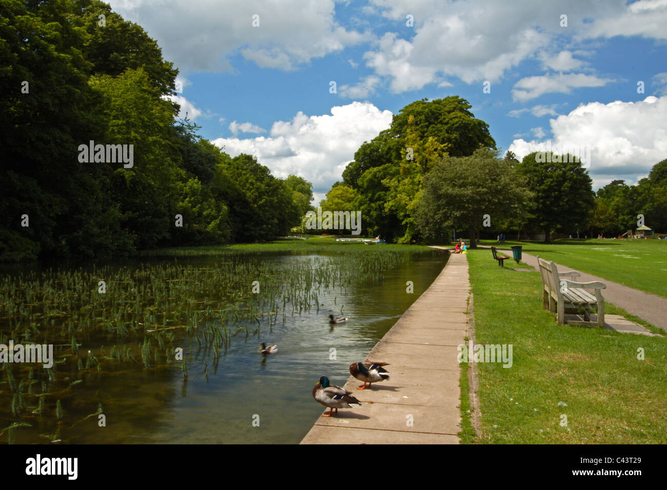 La digue sur le seigle, High Wycombe, Buckinghamshire, Royaume-Uni Banque D'Images