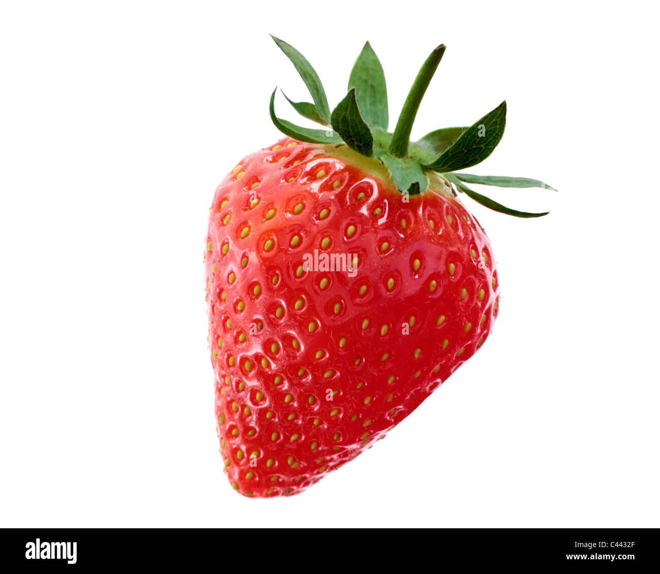 Un gros plan d'une des fraises fraîches isolées sur fond blanc. Banque D'Images