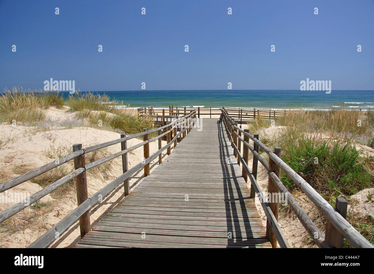Passerelle en bois de plage, Monte Gordo, Vila Real de Santo António, Municipalité du district de Faro, Algarve, Portugal Banque D'Images