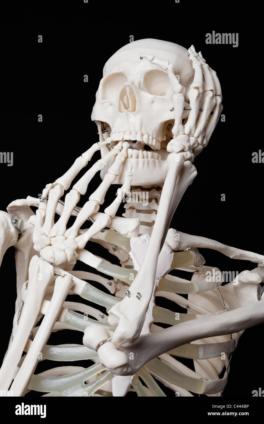 Un Squelette Humain A La Peur Photo Stock Alamy Un Squelette Humain A La Peur Photo Stock Alamy