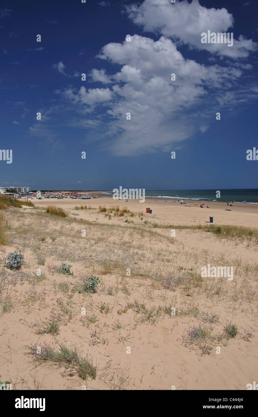 La plage et les dunes, Monte Gordo, Vila Real de Santo António, Municipalité du district de Faro, Algarve, Portugal Banque D'Images