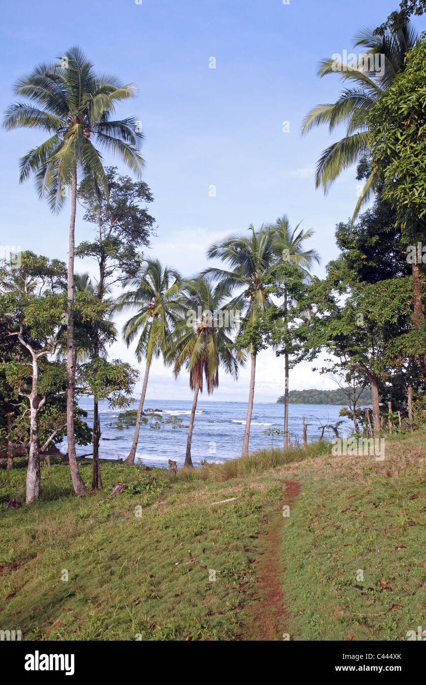 Un chemin à travers les arbres à la plage. Santa Catalina, Veraguas, Panama, Amérique Centrale Banque D'Images