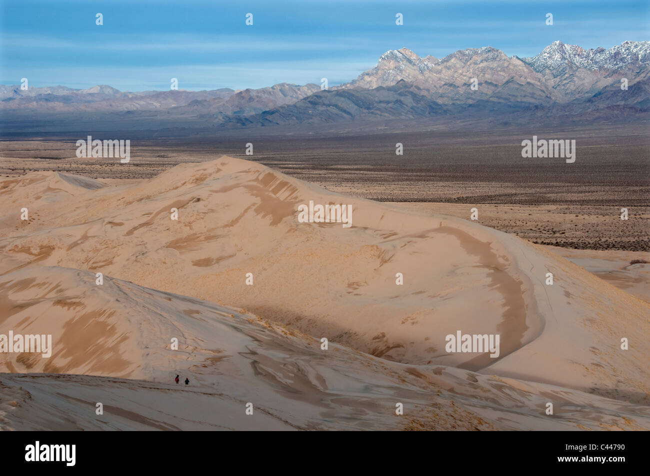 Dunes de Kelso, Mojave National Preserve, Californie, mars, USA, Amérique du Nord, paysage, dune Banque D'Images
