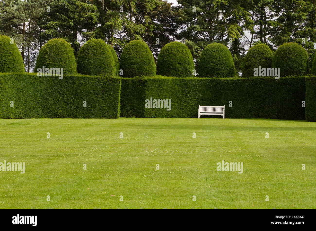 Banc en bois sur grand jardin avec gazon anglais topiaire et couverture Banque D'Images