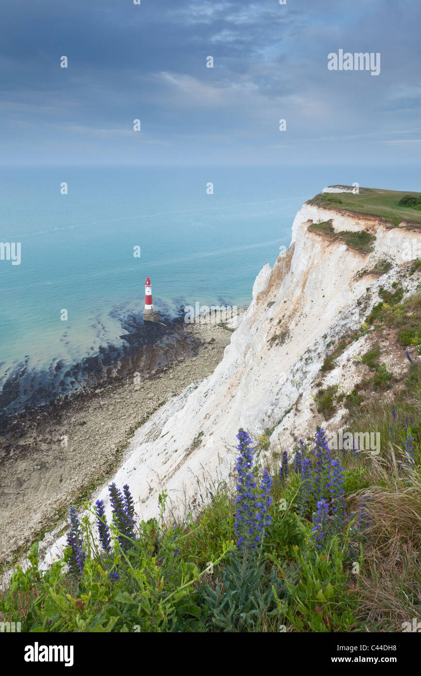 Beachy Head près de Eastbourne, East Sussex, England, UK Banque D'Images