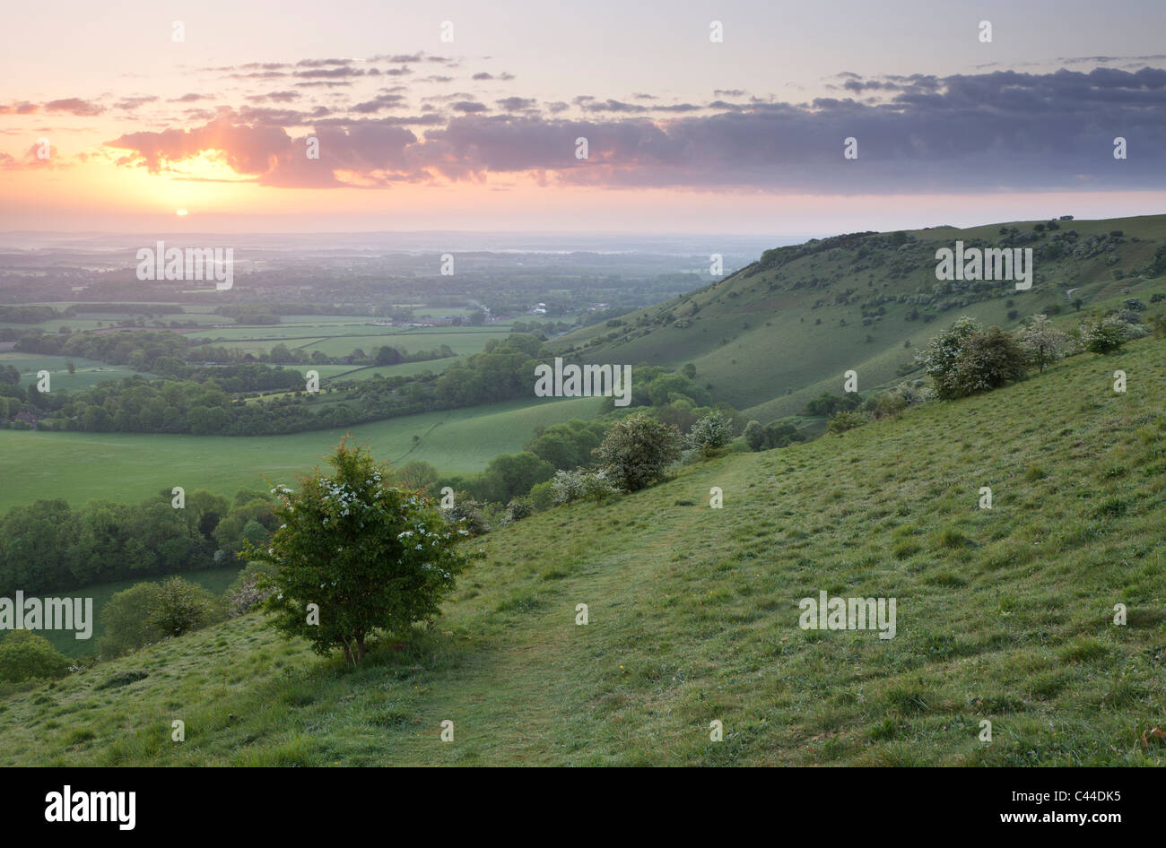 Un beau lever de soleil sur Ditchling Beacon, le Parc National des South Downs, East Sussex, England, UK Banque D'Images
