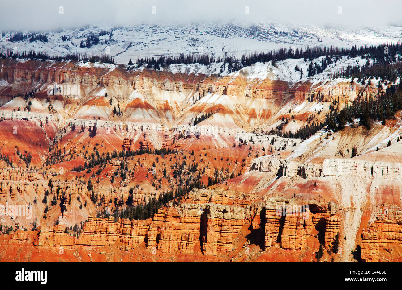 Cedar Breaks en saison d'automne Banque D'Images