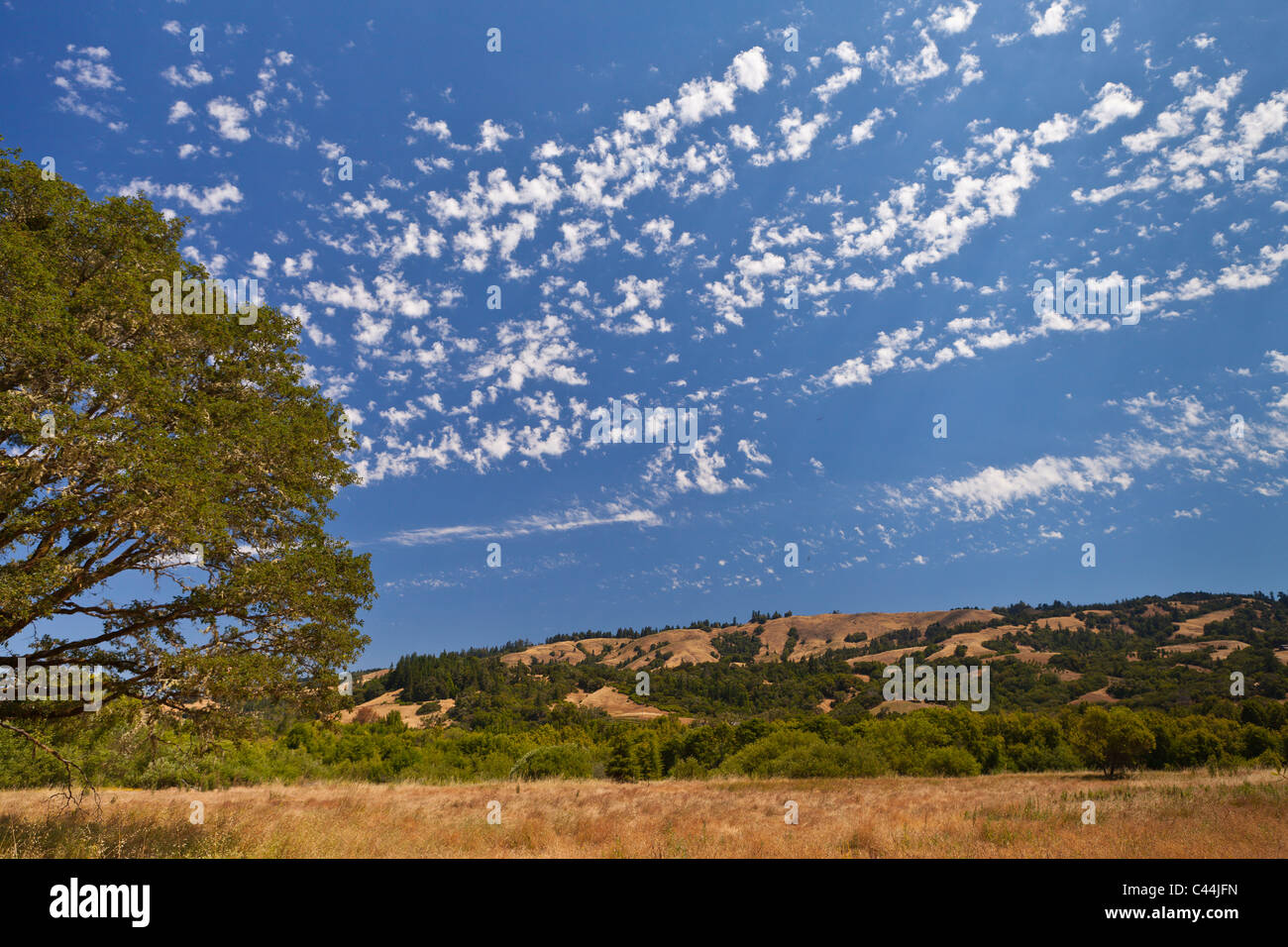 MENDOCINO County, Californie, USA - Paysage à Hendy Woods State Park avec des terres privées dans la distance. Banque D'Images