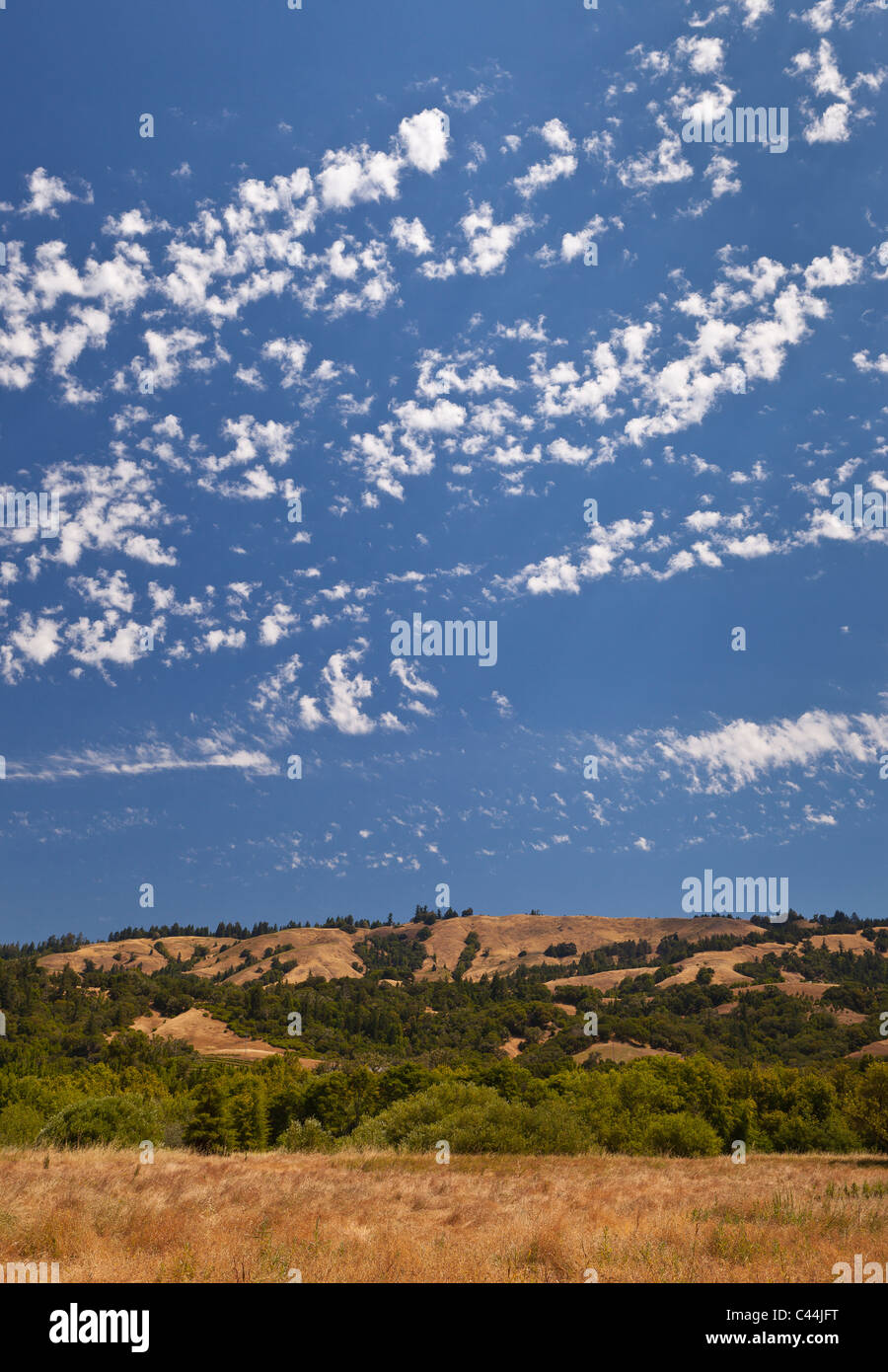 MENDOCINO County, Californie, USA - Paysage à Hendy Woods State Park avec des terres privées dans la distance. Banque D'Images