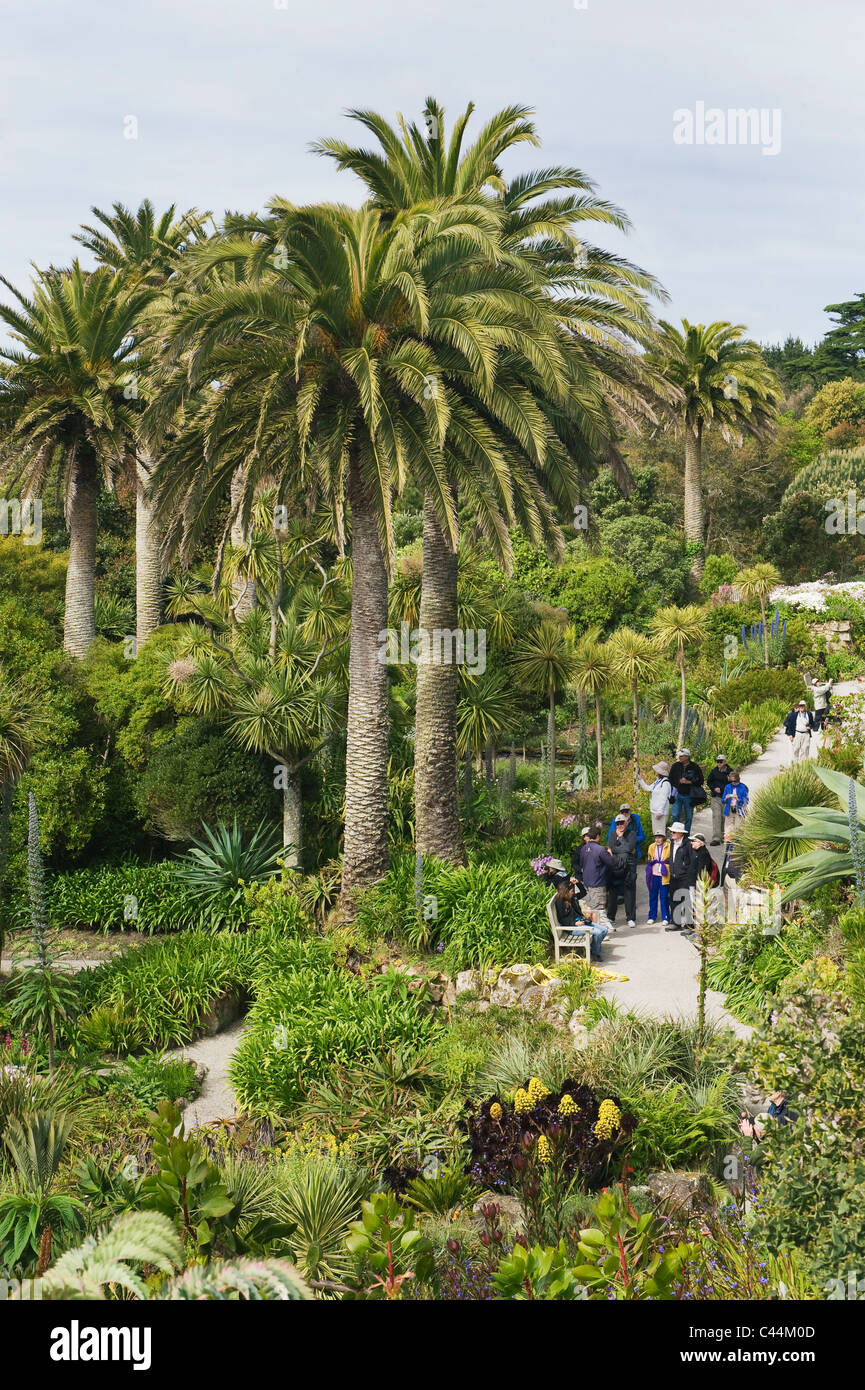 Jardins de l'abbaye de Tresco Tresco, Île, Îles Scilly, Cornwall, Angleterre Banque D'Images