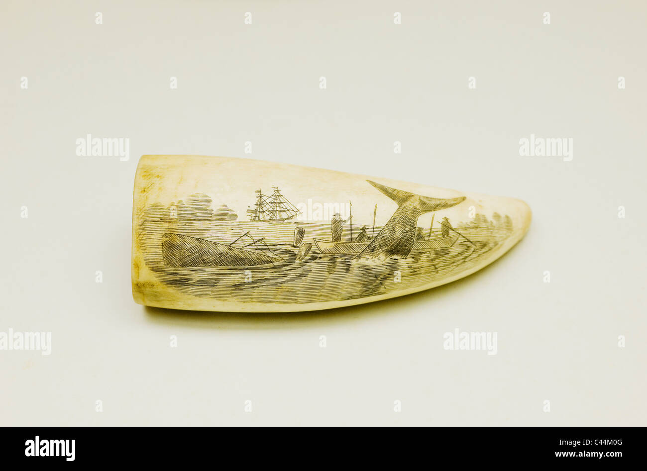 Le Scrimshaw dent de Cachalot dépeint la baleine, Musée de Pico, Açores Banque D'Images