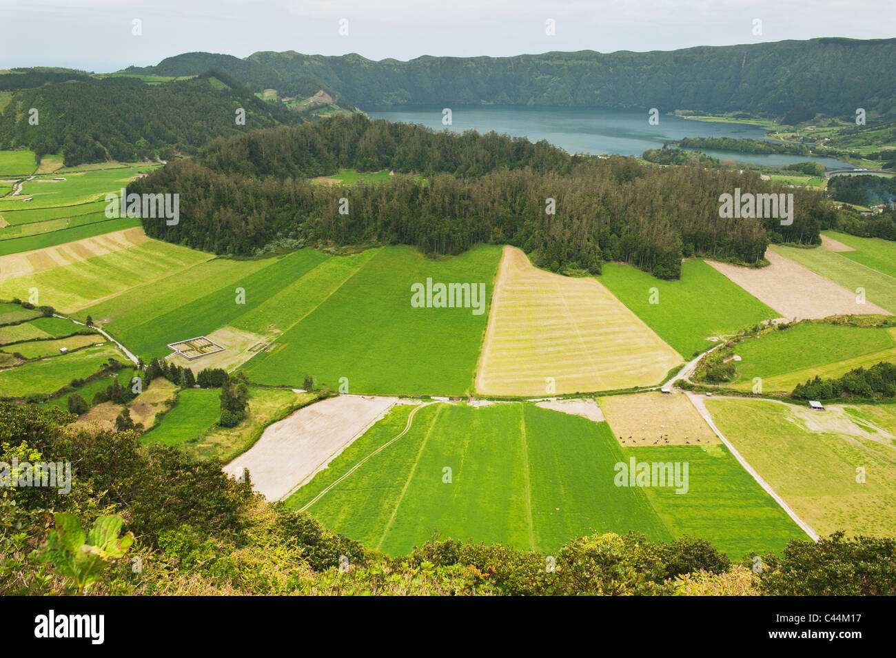 Les élevages situés dans le cratère volcanique, Sete Cidades, l'île de São Miguel, Açores Banque D'Images
