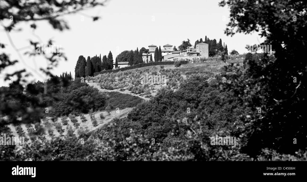 Vue de la cave près de Castello di Avola Raddi en Chianti, Toscane, Italie Banque D'Images