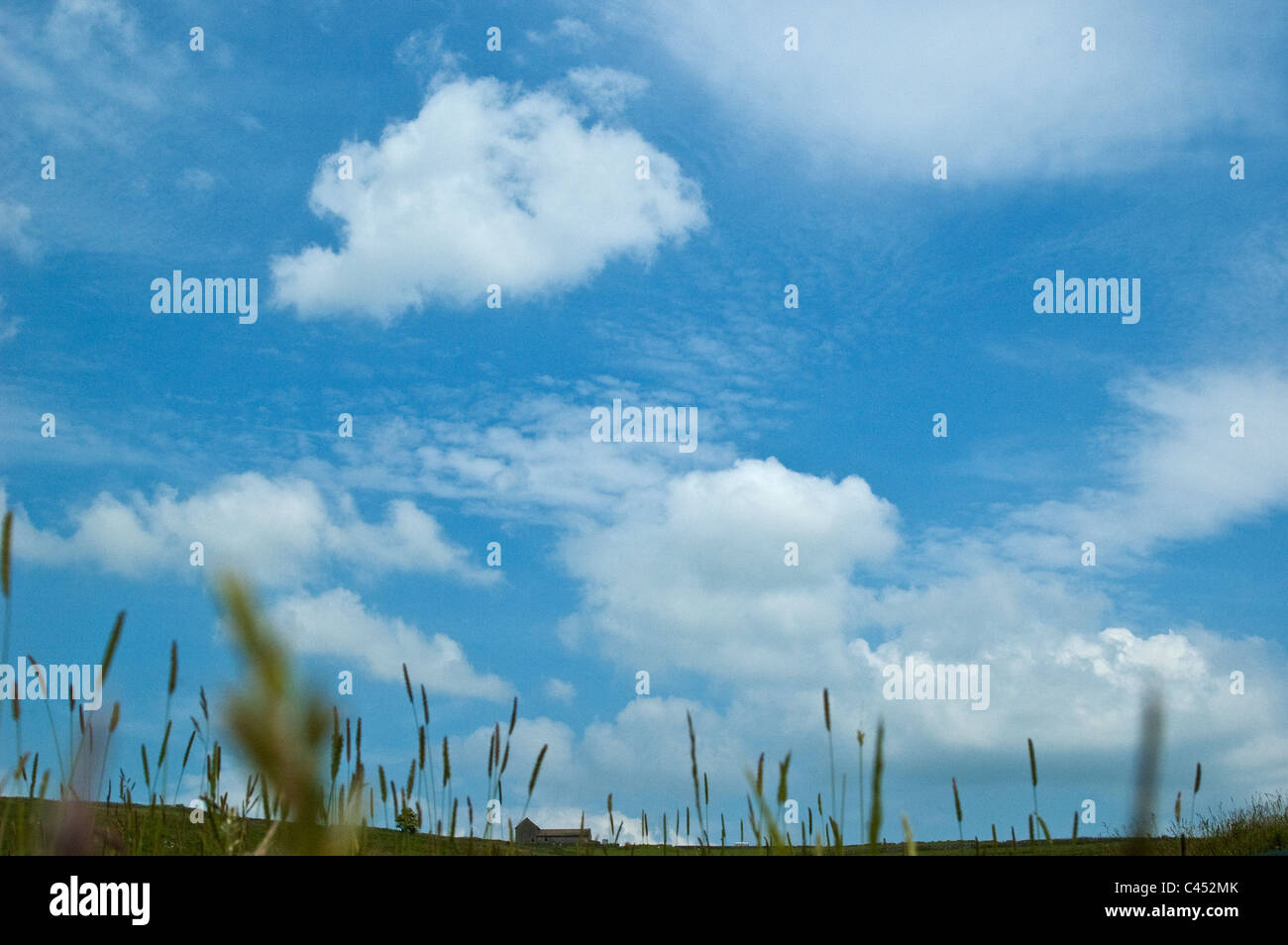 Ciel bleu avec des nuages blancs moelleux Banque D'Images