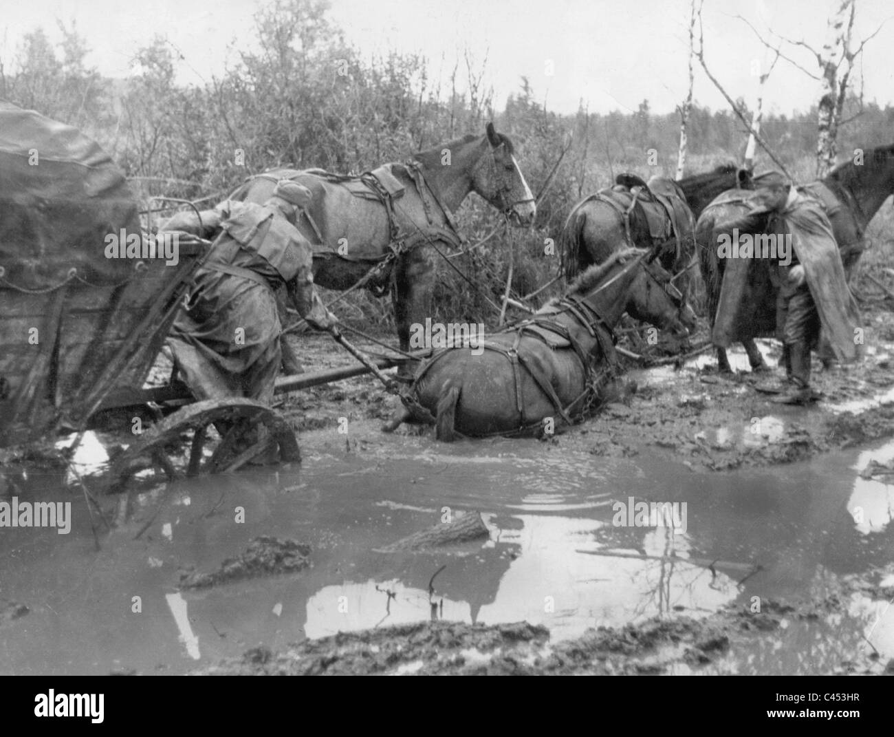Horse-panier dans la boue sur le front de l'Est, 1942 Banque D'Images