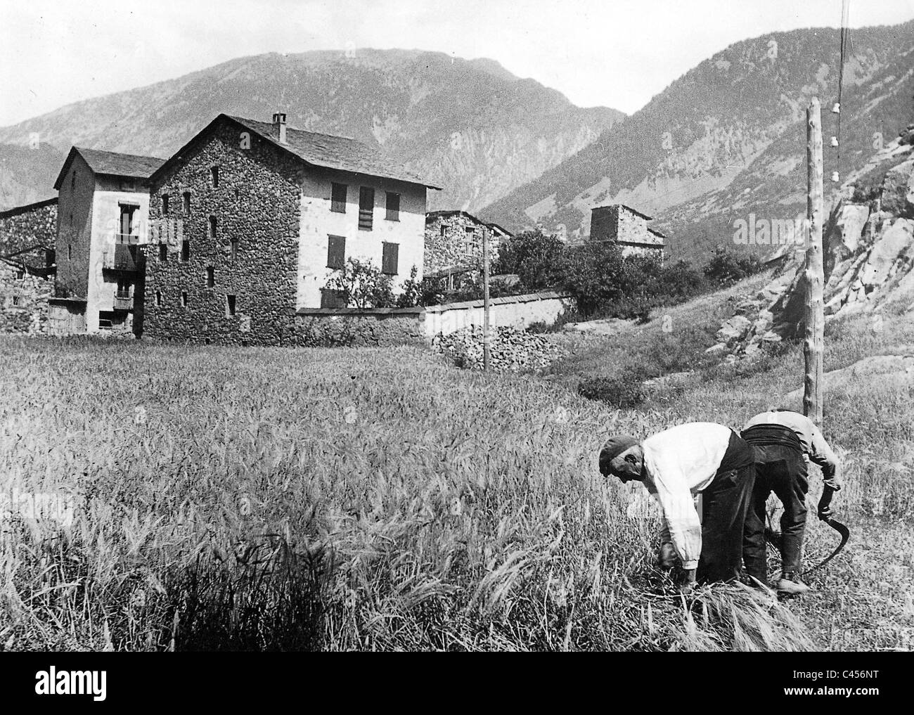 Les agriculteurs de l'Andorre au moment de la récolte Banque D'Images