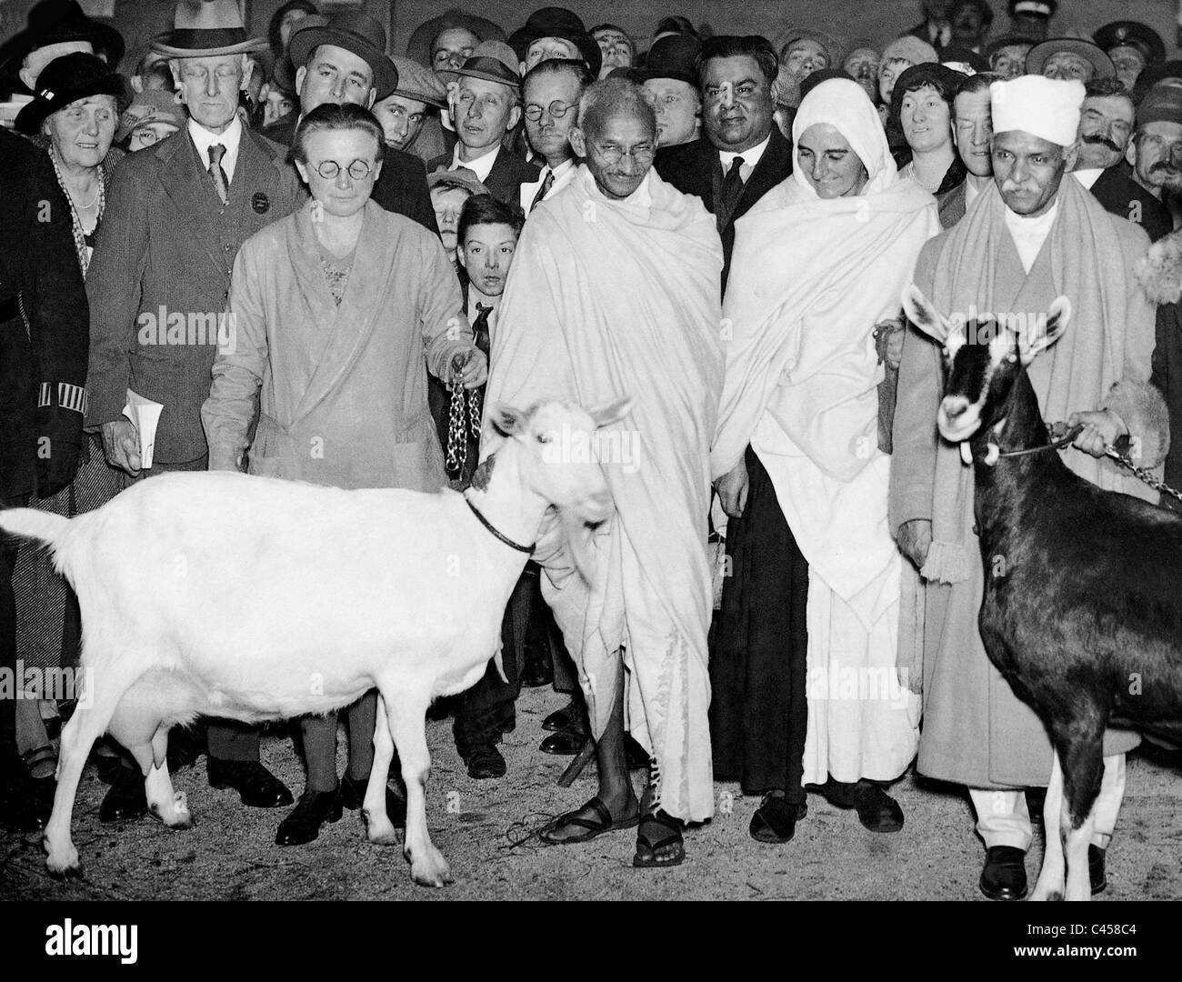 Mahatma Gandhi lors d'une exposition de bétail à Londres, 1931 Banque D'Images