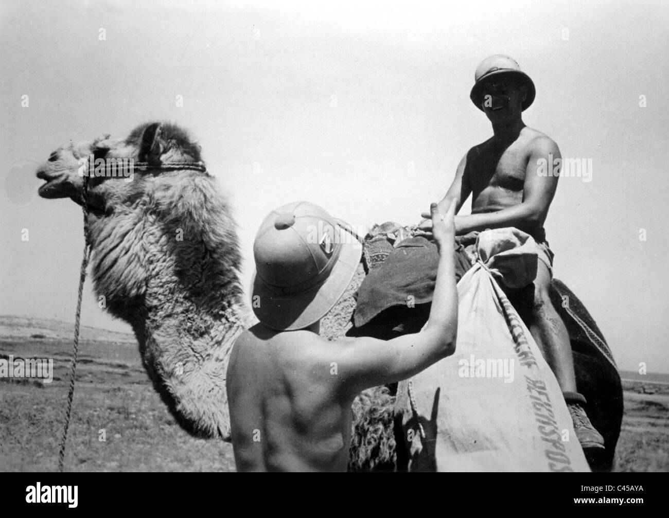 Sur le terrain en Afrique du Nord, 1942 Banque D'Images