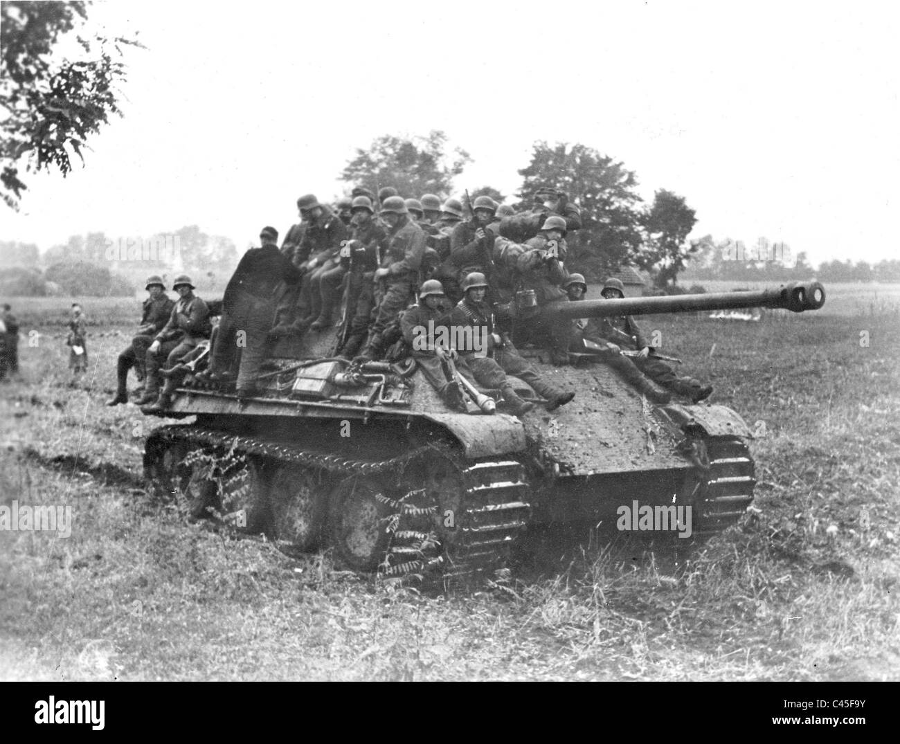 Panther tank en Hongrie Banque D'Images