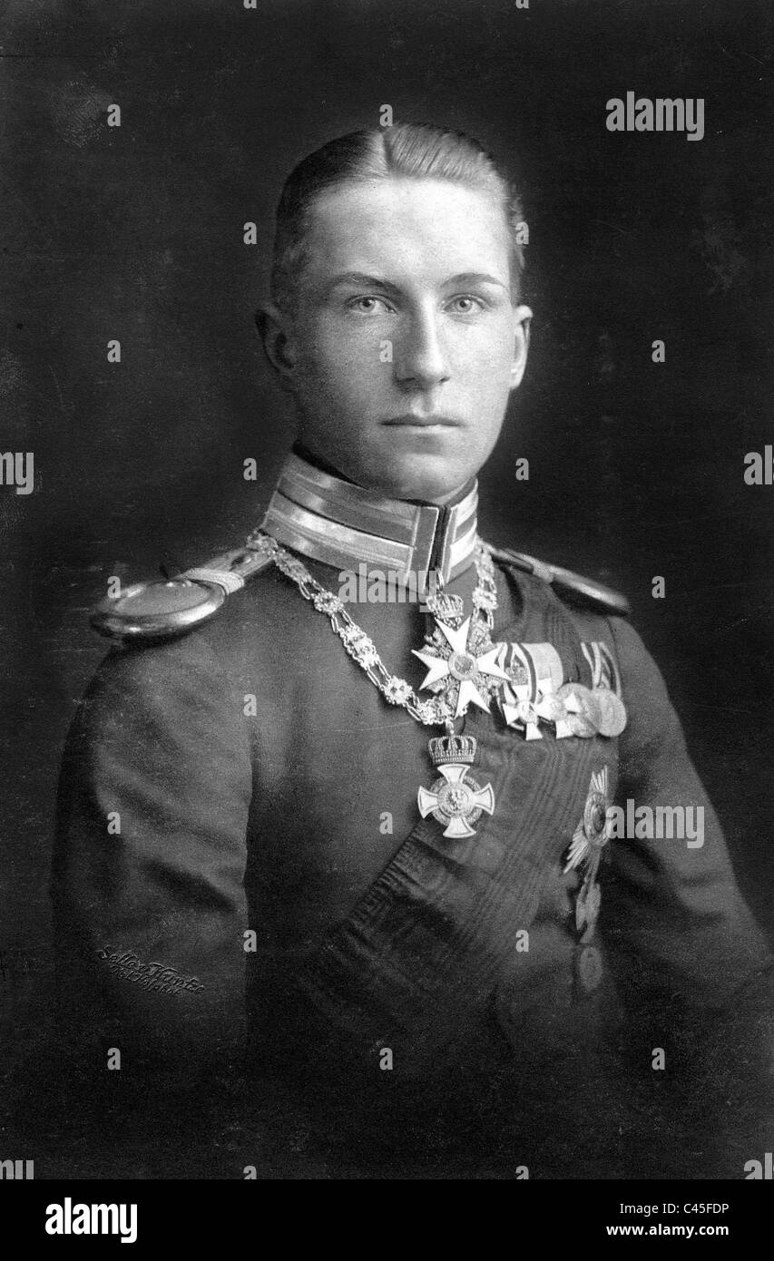 Le Prince Friedrich Karl de Prusse Banque D'Images